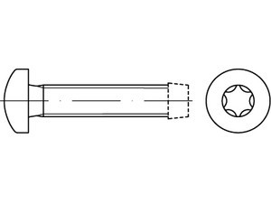 Šroub závitotvorný TORX DIN 7500C M3x8 pozink - N2