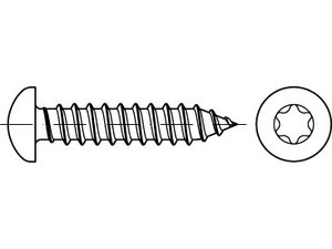 Šroub samořezný TORX DIN 7981C 6,3x50 pozink - N2