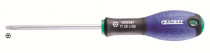 Šroubovák TORX TT40 x 125 mm s otvorem, EXPERT E165399 - N1