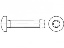 Šroub závitotvorný TORX DIN 7500C M4x8 pozink - N1