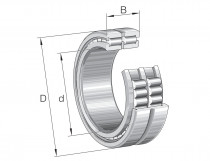 INA SL185005-A-C3 - N1